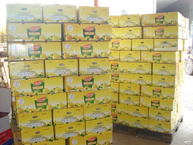 Chinese high quality Ya pear Grade A Taste Sweet Style Fresh Weight (kg) 0.3 Variety Ya Pear Certification TOP Type Pear, Ya - Image 5