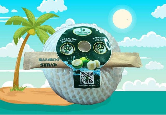 Easy diamond coconut + bamboo straw Grade Class A Origin Vietnam Storage Temperature +2c Type XIem variety coconut Net Weight Per Carton 8kg - Image 1