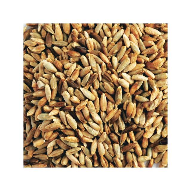 Bulk rye grain wholesale stock available at factory direct price - Image 3