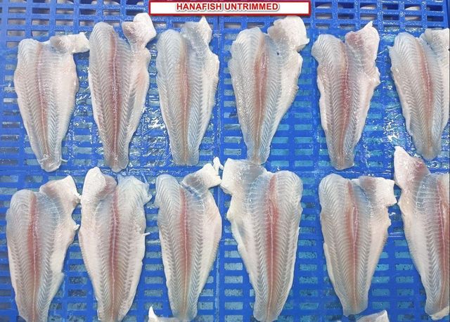Frozen Pangasius Fillet - Image 6