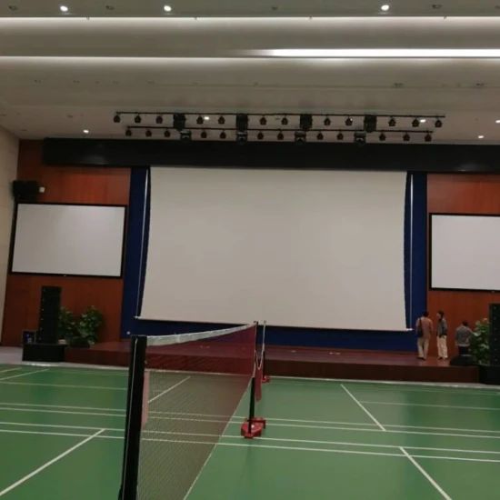 Large Size Electric Projector Screen/Big Motorized Projection Screen (LES300V) - Image 6