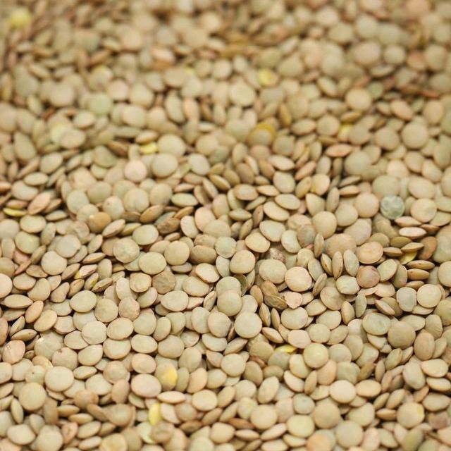 Fresh Green Lentils Wholesale Green Lentils Premium Bulk Supply High Quality Available For Export - Image 3