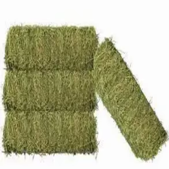 Premium Timothy Hay Carefully Dried Green Grass For Nutritious Animal Feeding Supply - Image 5