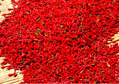 Dried African Birds Eye Chillies Product Type Fruits & Vegetables, Spices, Spices, Seasonings & Flavors - Image 5