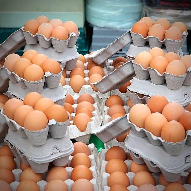 Farm Fresh Brown and White Shell Chicken Table Eggs Grade A Size 5 G Part White Type BROWN Length 3 Cm Style Fresh Organic Yes - Image 3
