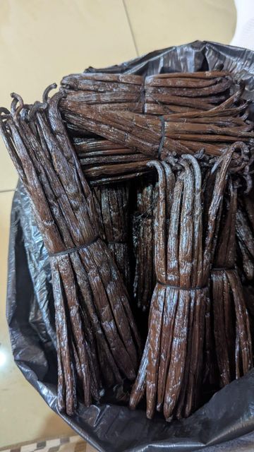 Premium Madagascar Vanilla Beans - Image 1