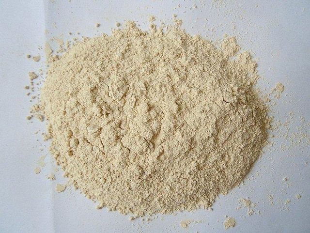 Dehydrated Garlic Powder - Image 1