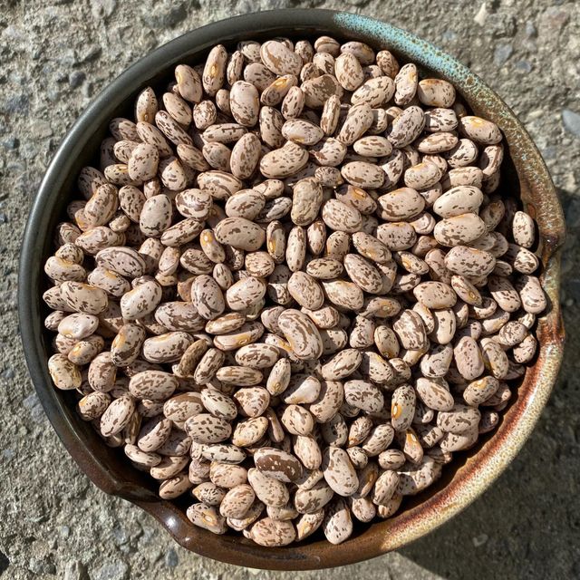 Protein Dried Pinto Beans Available In Export Packs With Natural Processing And Authentic Farm Origin - Image 4
