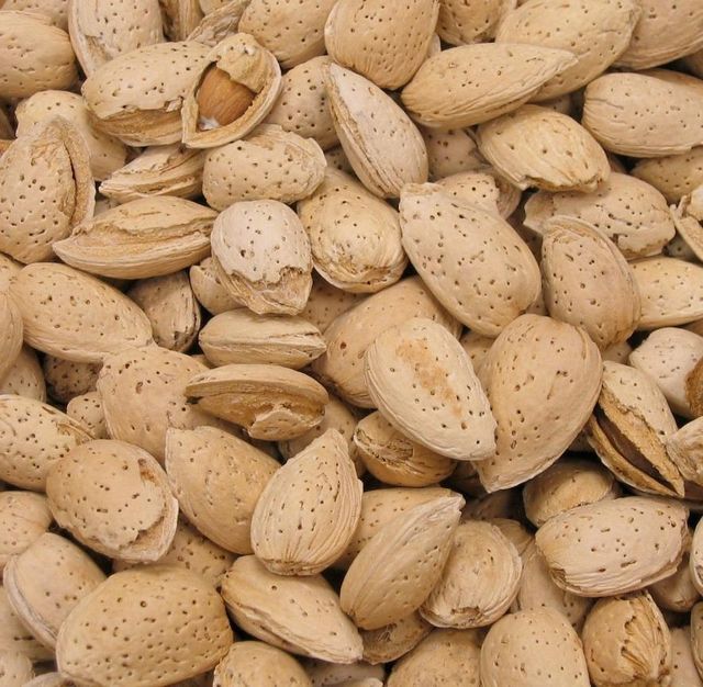 Raw Dried Almond Kernels & Nuts Without Shell Vacuum Packed Snack with 2 Year Shelf Life - Image 2