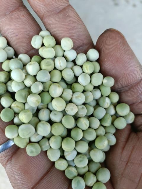 Dried Green peas - Image 1