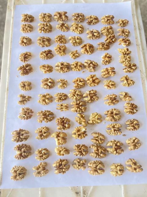 xinjiang walnut inshell&kurnel: 185;xiner;33;xinfu;; - Image 3