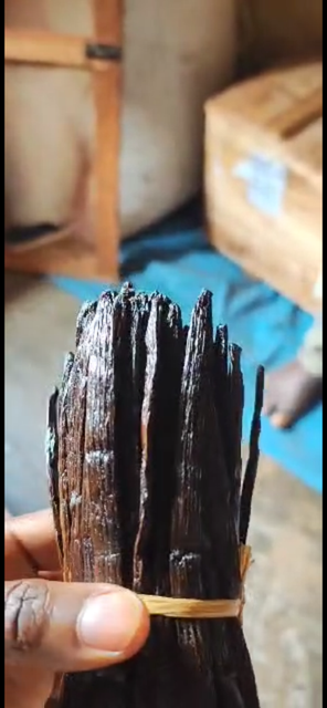 Vanilla Pods Origin Uganda Form Vanilla Powder, Whole Pods - Image 4