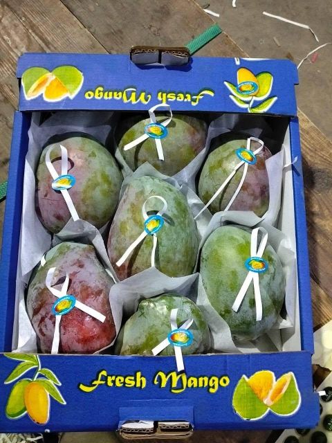 FRESH MANGOS - Image 3