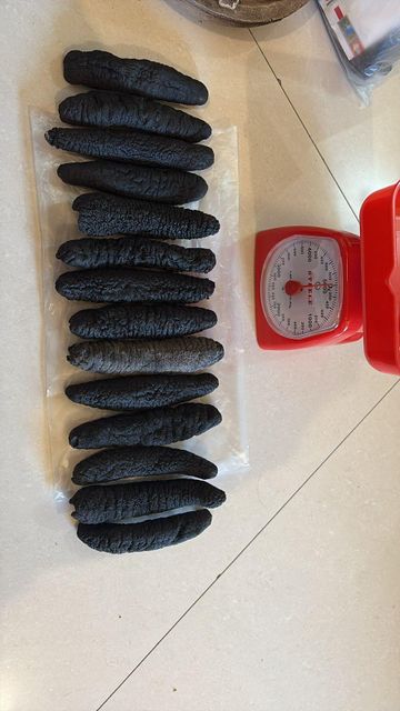 Dried Sea Cucumber Form Whole Drying Method Direct Sunlight Purity Clean From Dust And Sand Origin Indonesian, Indonesian Sea - Image 5