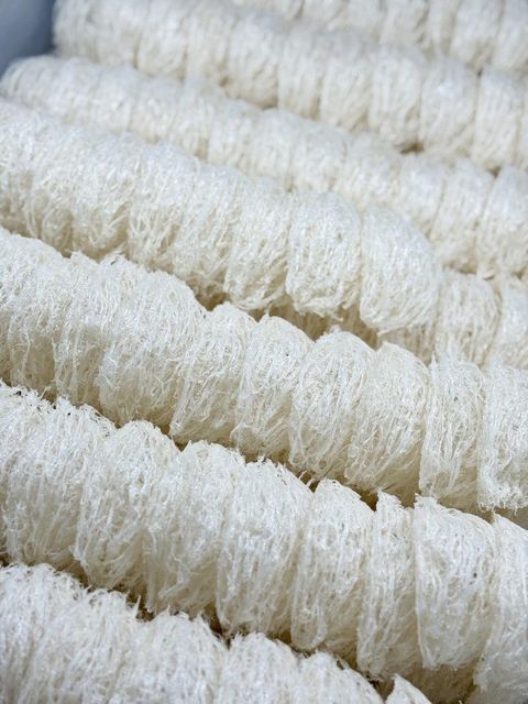 Premium Refined Bird’s Nest from Mekong Delta Vietnam - Image 4