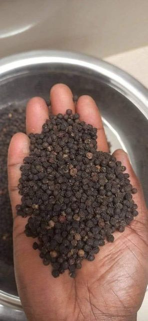 Premium Black Pepper Supplier | Wholesale Bulk & Retail Export Quality  Other High-Performing Titles - Image 4