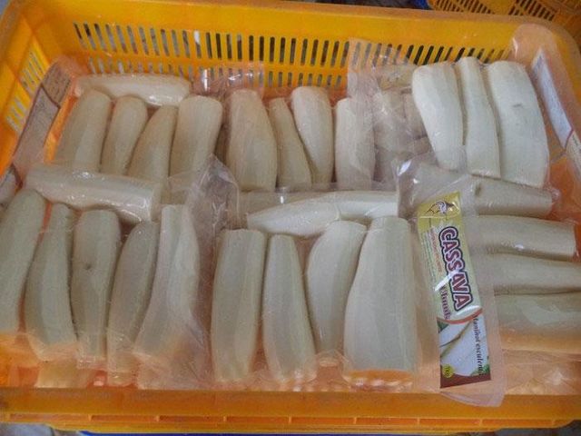 Frozen whole cassava Length 13-15cm Diameter 2-3.5cm Place of Origin Vietnam Storage Temperature -18°c Freezing Temperature -30°c - Image 1