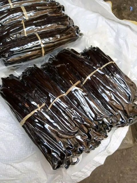 Vanilla Flavor Rich And Sweet Texture Fresh And Firm Aroma Strong And Natural Application Culinary And Fragrance Processing Method Handpicked And - Image 2