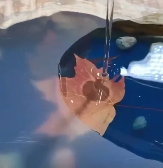 High Scratch Resistant Wear Resistant Epoxy Floor Coating Material Epoxy Resin - Image 3