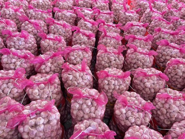 Wholesale Bulk Fresh White Garlic Professional Supplier of Fresh Vegetables - Image 3