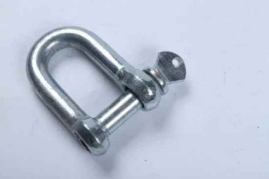 Us Type G210 Dee Shackle Chain Shackle Condition New Color OEM/ODM Model No. G209 Process Forged Usage Industrial HS Code - Image 2