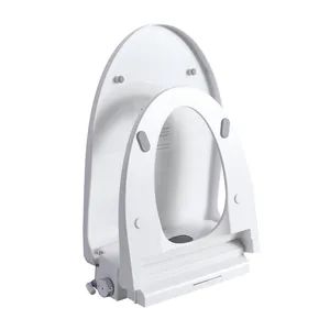 China Factory Direct Sale Multi-Functions Smart Bidets with Remote Control - Image 1