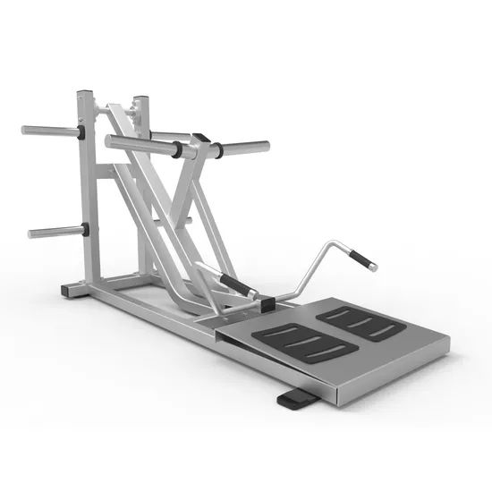 CE Certificated Nautilus Sports Equipment / T Bar Row (SW-2016) - Image 1