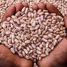 Red Speckled Sugar Beans At Good & Competitive Rates - Image 2
