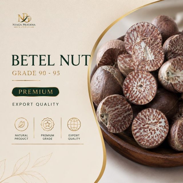 Dried Betel Nut (Areca Nut) Split / Whole Grade 80-85 Export Quality - Premium Indonesia - Image 5