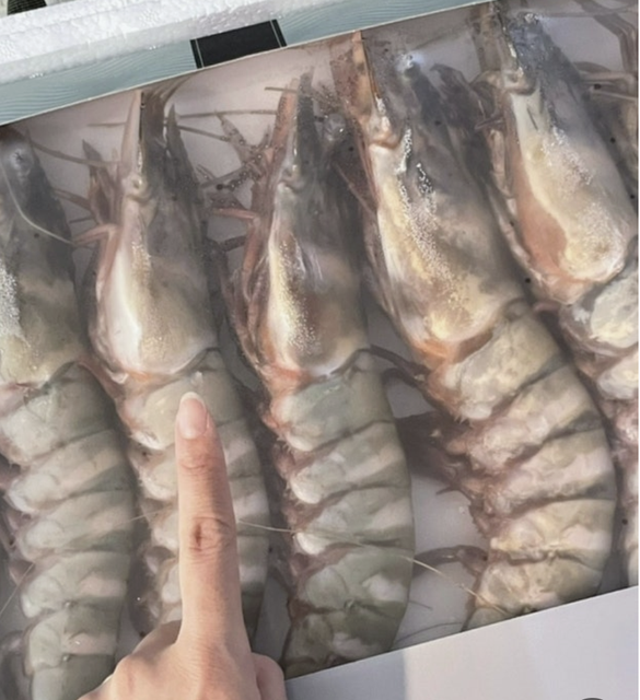 Black Tiger Shrimp - Image 1
