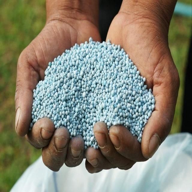 High Quality Compound Fertilizer Balanced NPK Safe and Eco Friendly Promote Root Development Increase Productivity - Image 3