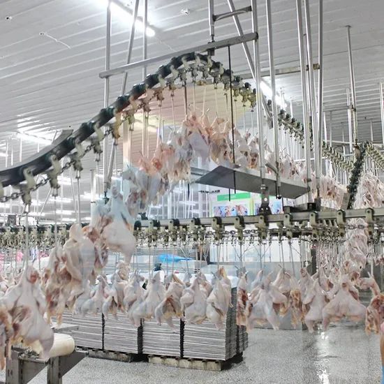 100bph to 13000bph Abattoir Meat Processing Machine Slaughtering Chicken Quail Rabbit Animal Poultry Killing Slaughter Chicken Plucker Machine - Image 5