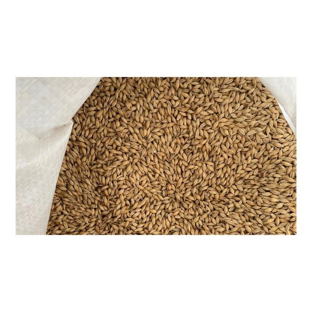 Factory Price Malted Barley Ready For Wholesale Distribution And Export - Image 3