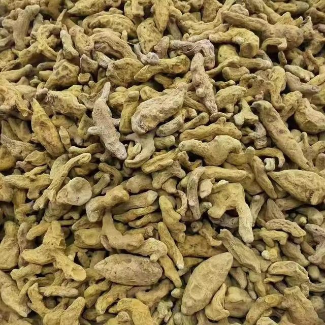 Dried Turmeric Roots Rich In Turmeric Compounds Ideal For Extract Production And Herbal Supplement Manufacturers - Image 5