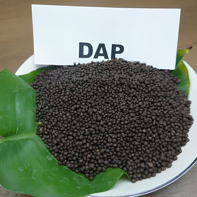 Premium Dap Fertilizer With Balanced Nitrogen And Phosphorus Content For Crop Nutrition And Strong Root Growth - Image 4