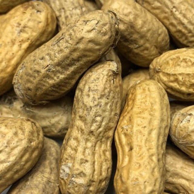 Natural Raw Peanuts Bulk Sale Premium Peanuts Rich in Nutrients Fresh and Healthy Snack for Retailers - Image 1