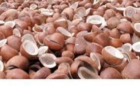 Edible Copra Impurities Max. 1% Oil Content Min. 62–65% Color White To Light Brown Moisture Content Max. 6–7% Free Fatty - Image 3