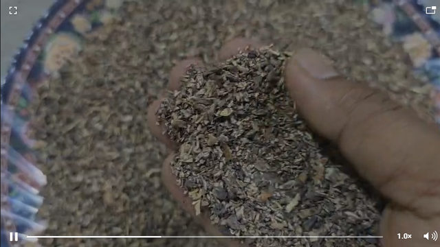 BETEL NUTS - Image 4