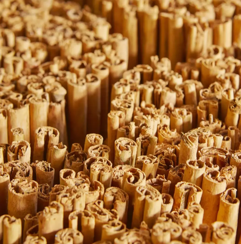 Ceylon Cinnamon - Image 2