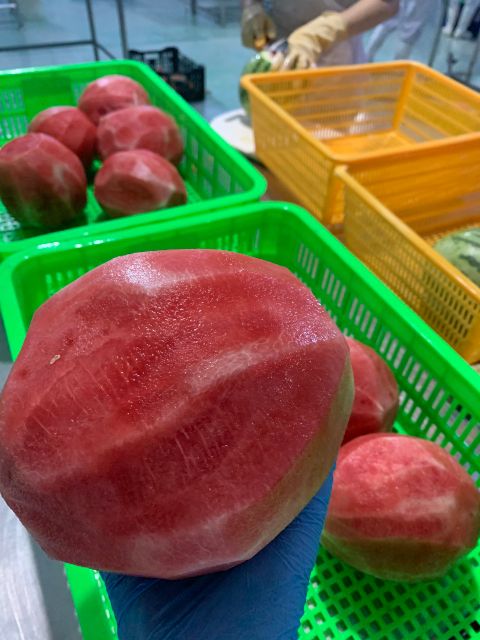 OEM Service Frozen Fresh Stick Watermelon Good Price Seedless IQF Watermelon from Vietnam Factory- whatsap 0084989322607 - Image 5