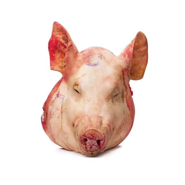 Premium Frozen Pork Head & Pork Jowls Wholesale Supplier – High Quality Pork Head Meat, Jowls, Cheeks for B2B Export Imp - Image 5