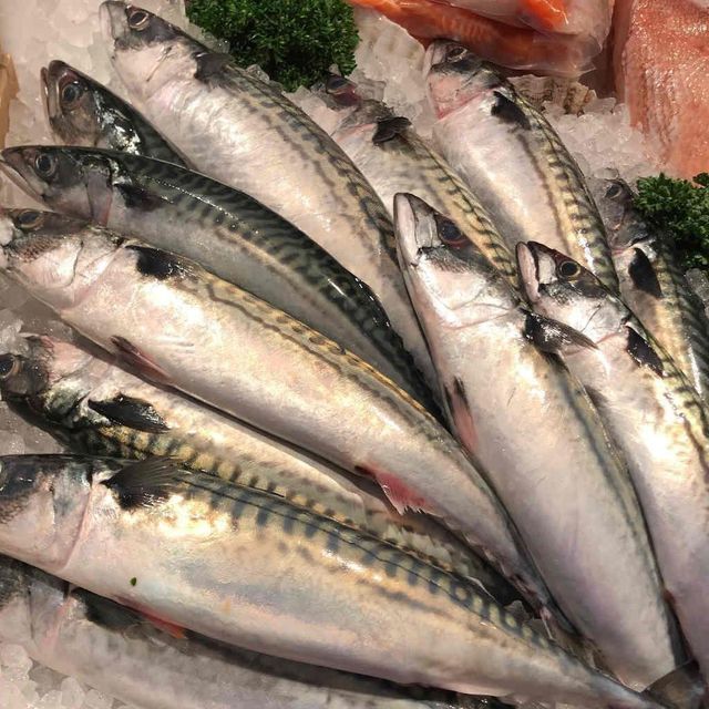 Frozen Atlantic Mackerel is a premium-grade fish, Cut Other Texture Firm Texture Flavor Natural Flavor Freshness Level Frozen - Image 3