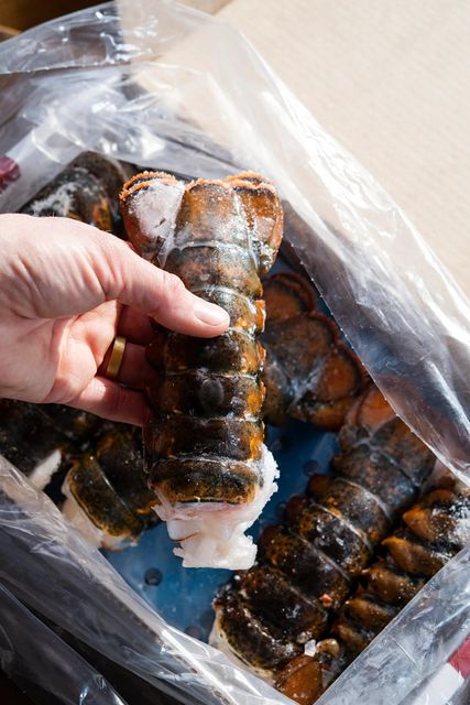 Fresh Frozen Lobster Tail Ocean Harvest Premium Seafood Perfect For Grilling Baking Broiling Special Events A - Image 4