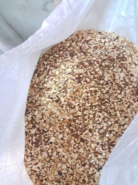 Tamarind Seed - Image 10