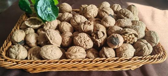 Snack Raw Material Organic Walnut Kernel Quarters Slice Pieces Walnut - Image 4