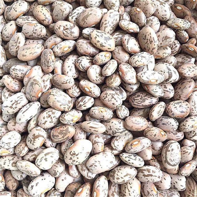 Premium Dried Organic Pinto Beans For Export With Clean Sorted Quality And Bulk Packed Legume Supply - Image 3