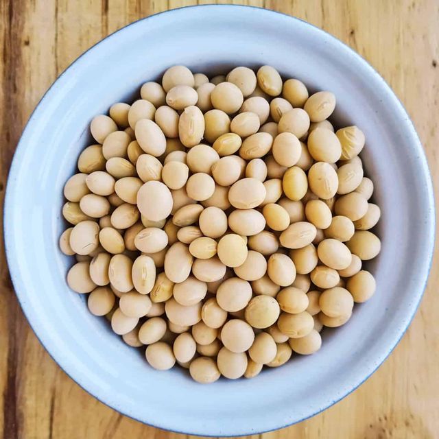 Hybrid Soybean Seed Advanced Breeding Soybean Seed Delivering Superior Germination And Vigorous Plant Growth - Image 4