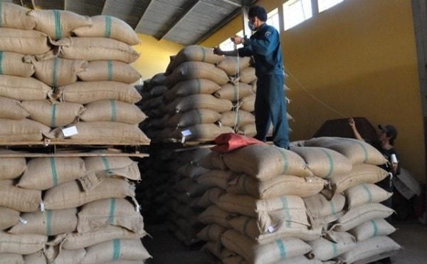 Premium Arabica Coffee Beans – Roasted & Green (Unroasted) Export-Grade Specialty Coffee Beans for Roasters, Cafés, and Commercial Coffee Production - Image 3