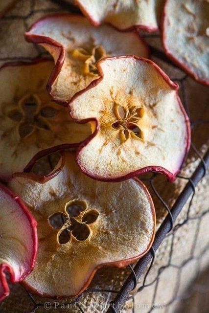 Dehydrated Apple, premium dry apple, dried fruits, organic Serbian European dried apple - Image 5