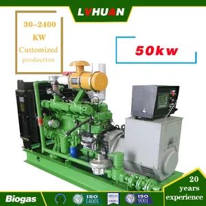 240kw/300kVA 400V/6.3kv/10.5kv Biogas Gas Gngine Generator 6190 Engine Export to Russia Kazakhstan Biogas Plant - Image 3